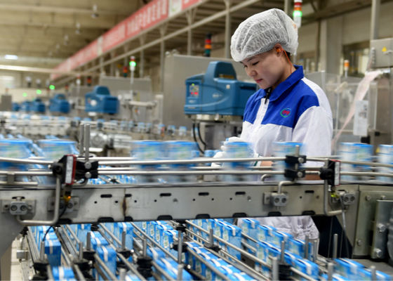 चीन लैक्टिक एसिड बैक्टीरिया डेयरी उत्पादन लाइन दही उत्पादन उपकरण / मशीन आपूर्तिकर्ता