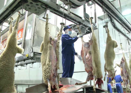 चीन मेम्मल स्प्लिट मांस उत्पादन लाइन, औद्योगिक उत्पादन लाइन आगे प्रसंस्करण आपूर्तिकर्ता