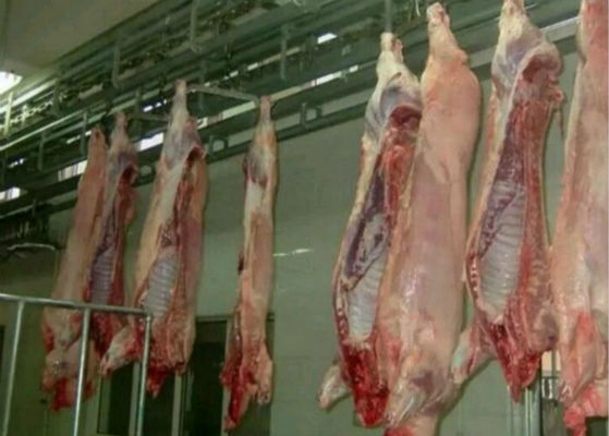 चीन पोर्क विभाजित पोल्ट्री मांस उत्पादन लाइन कसाईखाना उपकरण पीएलसी नियंत्रण प्रणाली आपूर्तिकर्ता