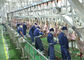 मेम्मल स्प्लिट मांस उत्पादन लाइन, औद्योगिक उत्पादन लाइन आगे प्रसंस्करण आपूर्तिकर्ता