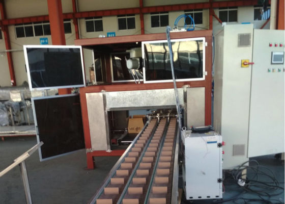 चीन पीएलसी नियंत्रण स्वचालित दफ़्ती पैकिंग मशीनें बैरल पैकर मैकेनिकल मनीिप्युलेटर आपूर्तिकर्ता