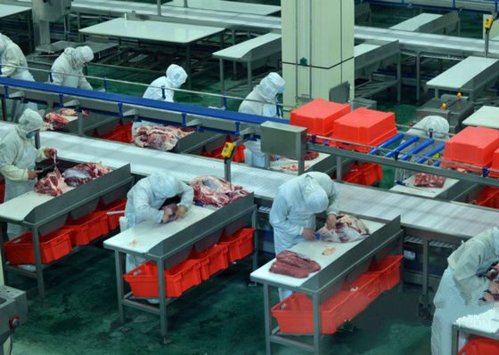 चीन बीफ़ विभाजित मांस उत्पादन लाइन / प्रसंस्करण लाइन 100-300 मरीज़ प्रति घंटे की गति आपूर्तिकर्ता