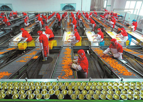 चीन प्लास्टिक कप डिब्बाबंद खाद्य उत्पादन लाइन, फलों और सब्ज़ी प्रसंस्करण उपकरण आपूर्तिकर्ता