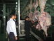 बीफ़ विभाजित मांस उत्पादन लाइन / प्रसंस्करण लाइन 100-300 मरीज़ प्रति घंटे की गति आपूर्तिकर्ता
